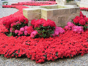 Temps de Flors 2015. Claustre del monestir de Sant Daniel