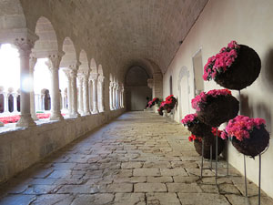 Temps de Flors 2015. Claustre del monestir de Sant Daniel