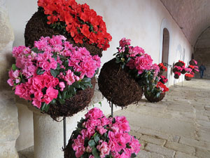 Temps de Flors 2015. Claustre del monestir de Sant Daniel