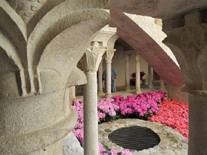Temps de Flors 2015. Claustre del monestir de Sant Daniel