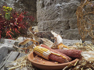 Temps de Flors 2015. Les Sarra&iuml;nes