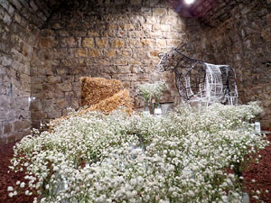 Temps de Flors 2015. Les Sarra&iuml;nes