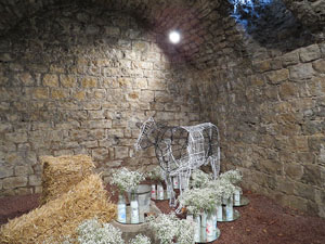 Temps de Flors 2015. Les Sarra&iuml;nes