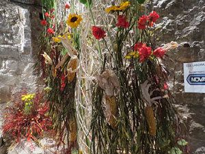 Temps de Flors 2015. Les Sarra&iuml;nes