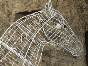 Temps de Flors 2015. Les Sarra&iuml;nes