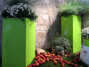 Temps de Flors 2015. Les Sarra&iuml;nes