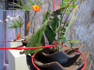 Temps de Flors 2015. Les Sarra&iuml;nes