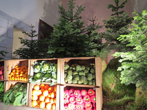 Temps de Flors 2015. Esgl&eacute;sia de Sant Mart&iacute; - Seminari