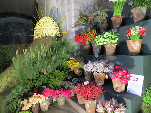 Temps de Flors 2015. Esgl&eacute;sia de Sant Mart&iacute; - Seminari