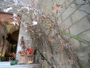 Temps de Flors 2015. Esgl&eacute;sia de Sant Mart&iacute; - Seminari