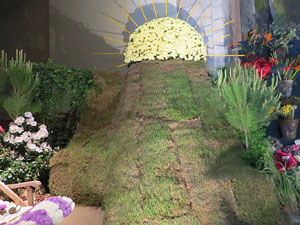 Temps de Flors 2015. Esgl&eacute;sia de Sant Mart&iacute; - Seminari