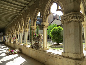 Temps de Flors 2015. Universitat de Girona - Sant Domènec