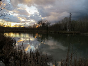 Els aiguamolls de Santa Eug&egrave;nia, espai de natura