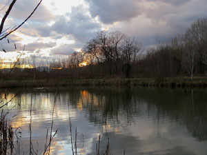 Els aiguamolls de Santa Eug&egrave;nia, espai de natura