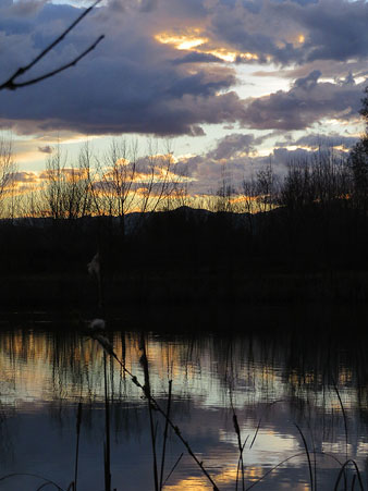 Posta de Sol als aiguamolls de Santa Eug&egrave;nia