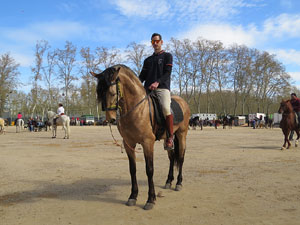 La Cavalcada de Sant Antoni 2016