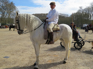 La Cavalcada de Sant Antoni 2016
