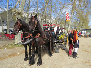 La Cavalcada de Sant Antoni 2016