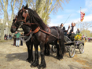 La Cavalcada de Sant Antoni 2016