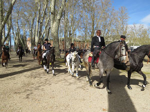 La Cavalcada de Sant Antoni 2016