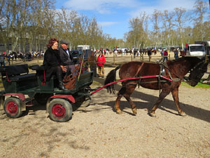 La Cavalcada de Sant Antoni 2016