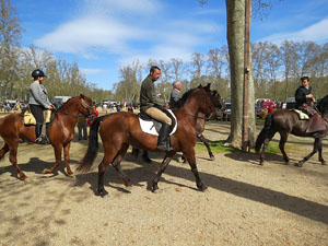 La Cavalcada de Sant Antoni 2016