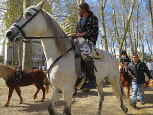 La Cavalcada de Sant Antoni 2016