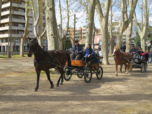 La Cavalcada de Sant Antoni 2016