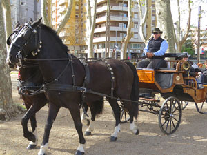 La Cavalcada de Sant Antoni 2016
