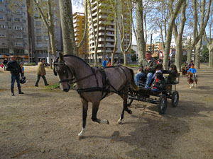 La Cavalcada de Sant Antoni 2016