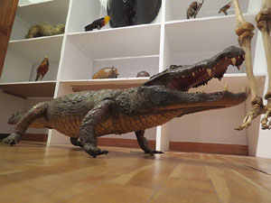 Fires 2015. Exposici&oacute; Girona en &egrave;poca contempor&agrave;nia. Les capitalitats de la ciutat (1800-1939)