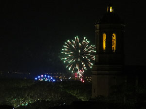 Fires 2015. Els focs