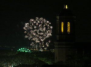 Fires 2015. Els focs