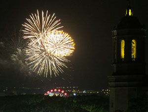 Fires 2015. Els focs