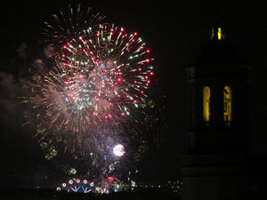 Fires 2015. Els focs