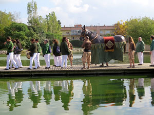 Fires 2015. XXXIV Trobada de gegants