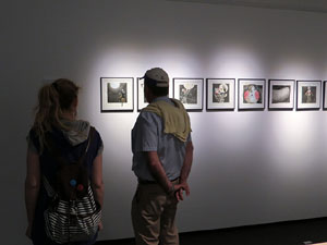 inund'ART 2016. Exposicions a la Casa de Cultura