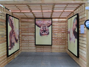 inund'ART 2016. Exposicions, exhibicions i activitats a la Rambla de la Llibertat i la pla&ccedil;a Catalunya