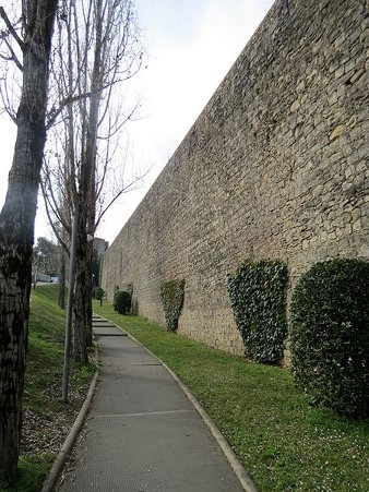 Tram de muralla des de la torre de Sant Dom&egrave;nec a la del Llamp