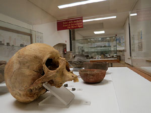Nit dels Museus 2016. Museu d'Arqueologia de Catalunya - Girona