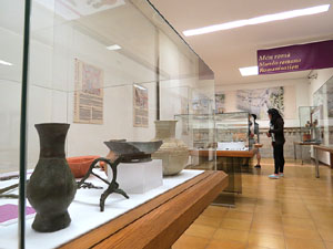 Nit dels Museus 2016. Museu d'Arqueologia de Catalunya - Girona