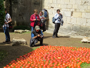 Temps de Flors 2016. Els absis de Sant Pere de Galligants i la llera del Galligants
