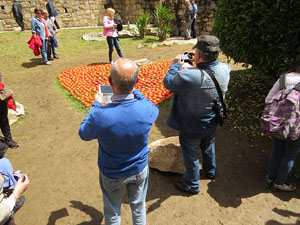 Temps de Flors 2016. Els absis de Sant Pere de Galligants i la llera del Galligants