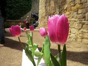 Temps de Flors 2016. Els absis de Sant Pere de Galligants i la llera del Galligants