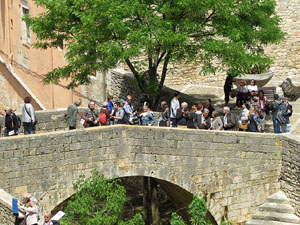 Temps de Flors 2016. Els absis de Sant Pere de Galligants i la llera del Galligants