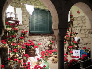 Temps de Flors 2016. Decoració floral als Banys Àrabs