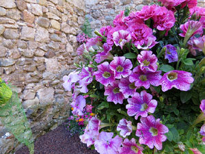 Temps de Flors 2016. Decoració floral als Banys Àrabs