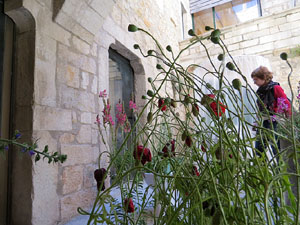 Temps de Flors 2016. Casa Boadas - Formiga al carrer dels Alemanys
