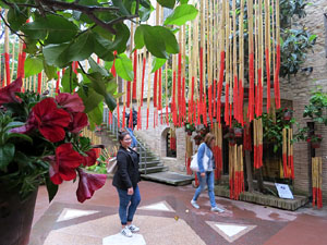 Temps de Flors 2016. Centre Bonastruc ça Porta