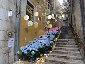Temps de Flors 2016. El carrer de la For&ccedil;a: patis i carrers